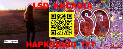 стафф Гай