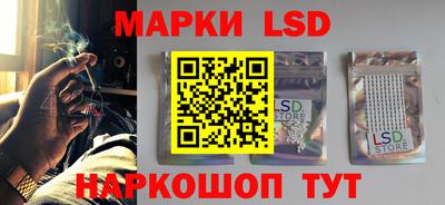 стафф Гай