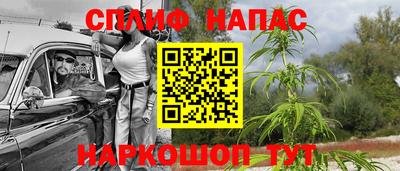 стафф Гай