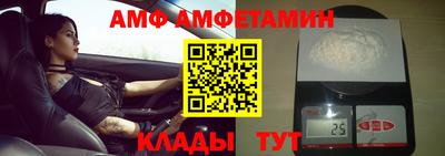 стафф Гай