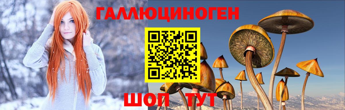Галлюциногенные грибы прущие грибы Калач-на-Дону